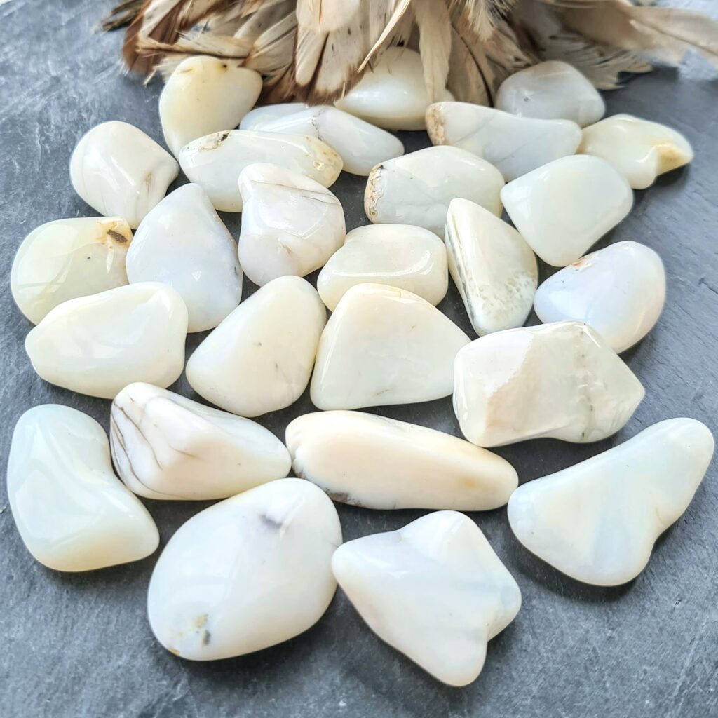 Opal vit trumlad