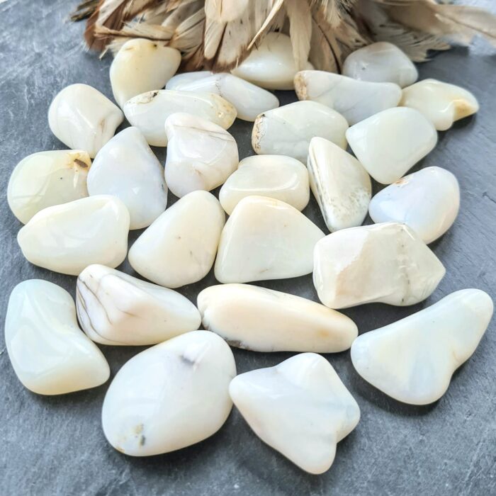 Opal vit trumlad